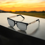 Rayban PD